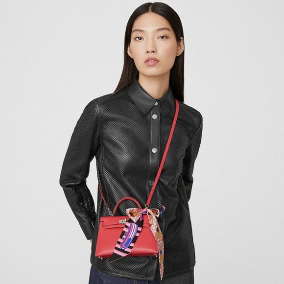 Hermes Twilly Colliers de Chiens Remix Rose Blau Silk France Luxury Box NWT - Picture 9 of 9